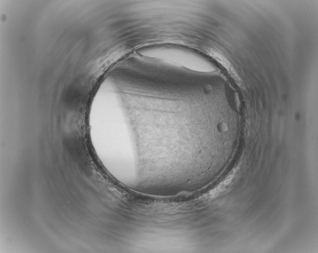 X0000088600977200706151757