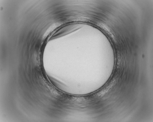 X0000088600978200706151757