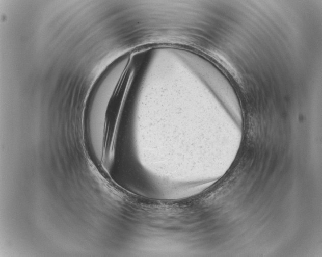 X0000088600980200706151757