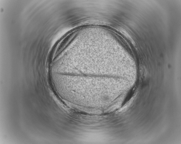 X0000088600981200706151757