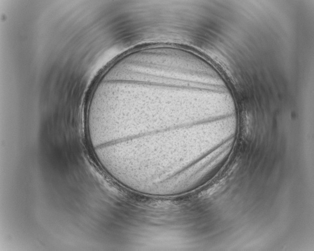 X0000088600982200706151757