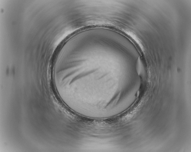 X0000088600983200706151757