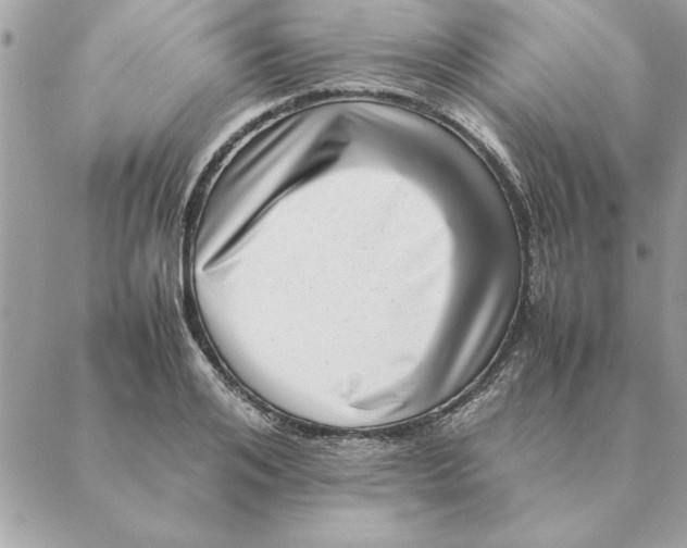 X0000088600984200706151757