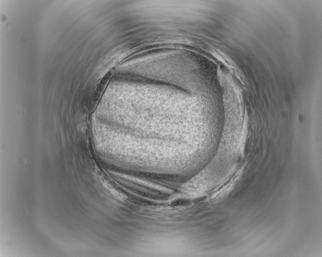 X0000088600985200706151757