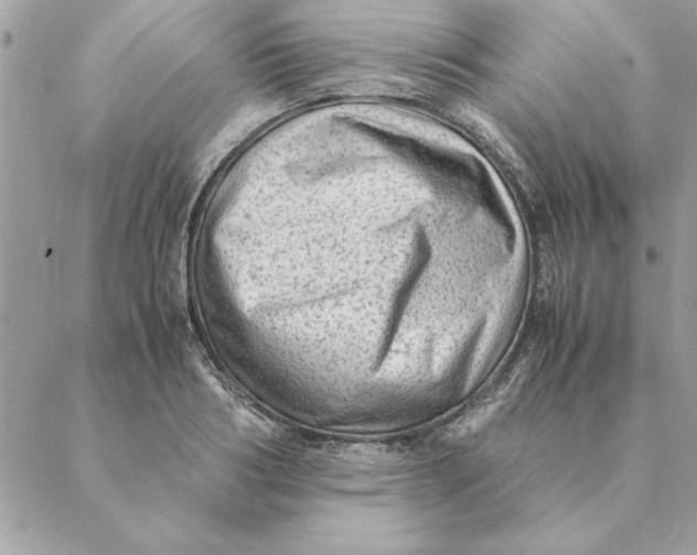 X0000088600986200706151757