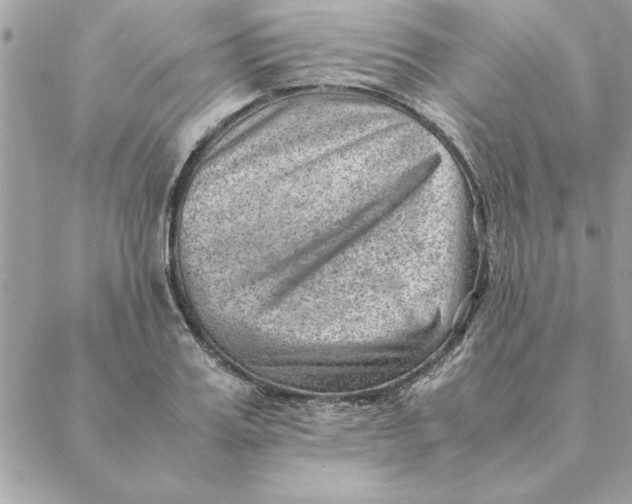 X0000088600987200706151757