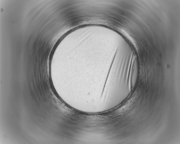 X0000088600988200706151757