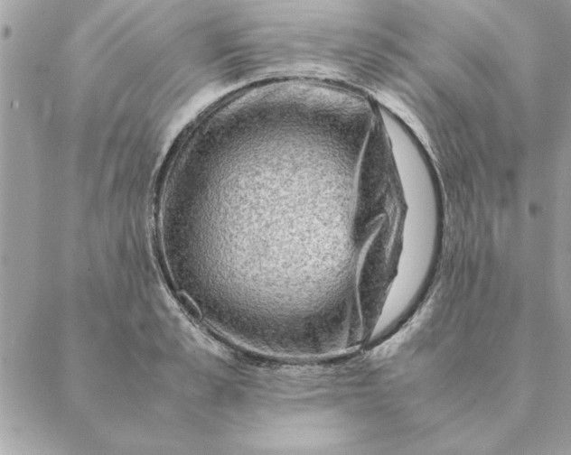 X0000088600989200706151757