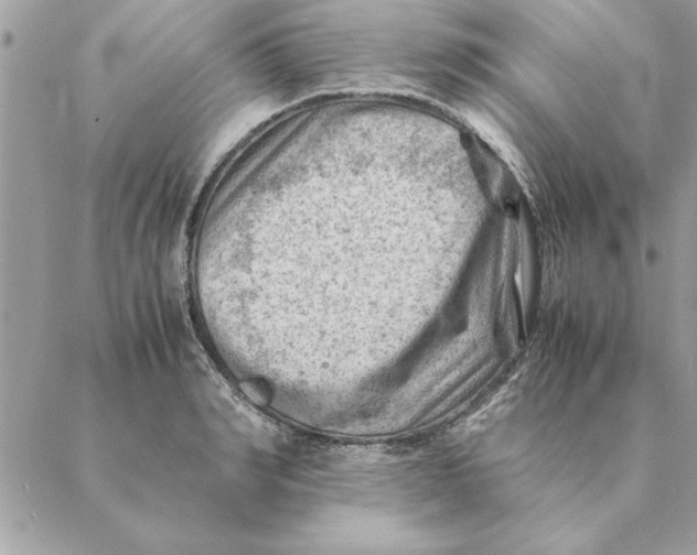 X0000088600990200706151757