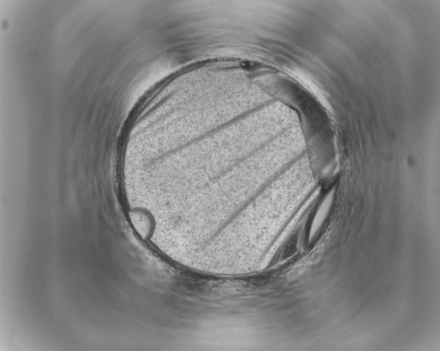 X0000088600991200706151757