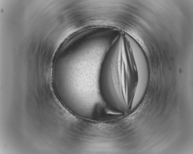 X0000088600992200706151757