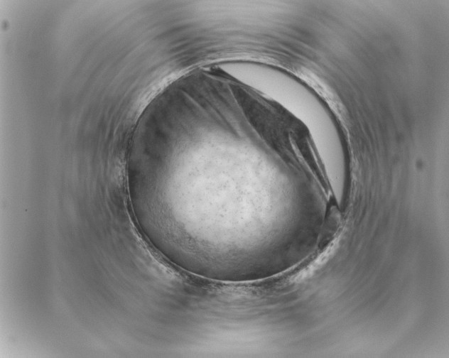 X0000088600993200706151757