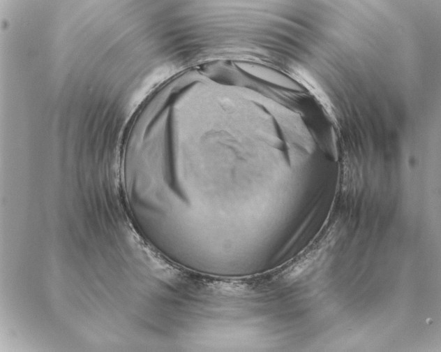 X0000088600994200706151757