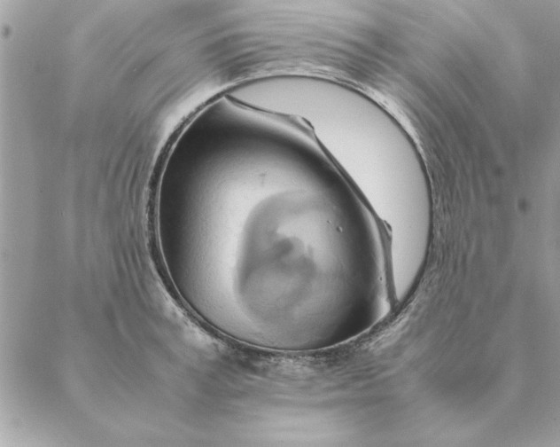 X0000088600995200706151757