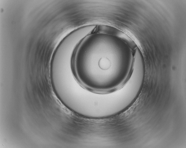 X0000088600996200706151757