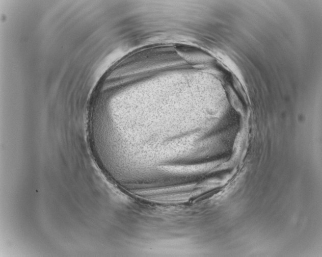 X0000088600997200706151757