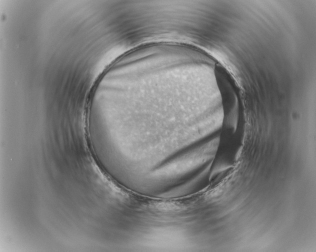 X0000088600998200706151757