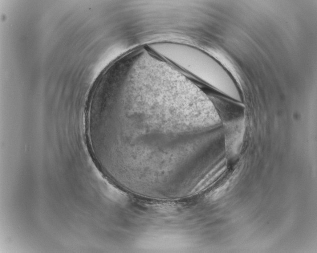 X0000088600999200706151757