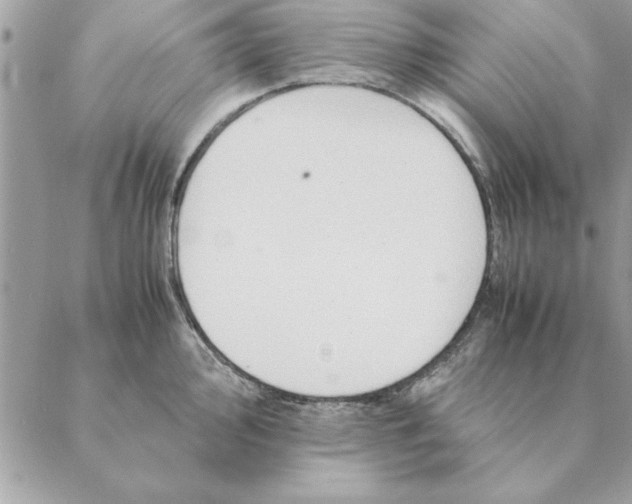 X0000088601000200706151757