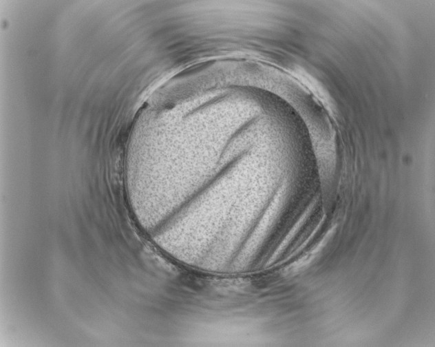 X0000088601001200706151757