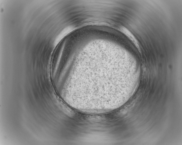 X0000088601002200706151757