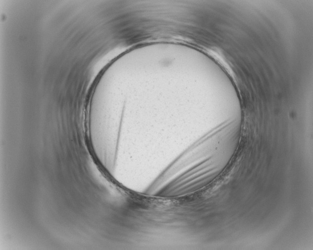 X0000088601003200706151757