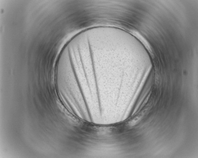 X0000088601004200706151757