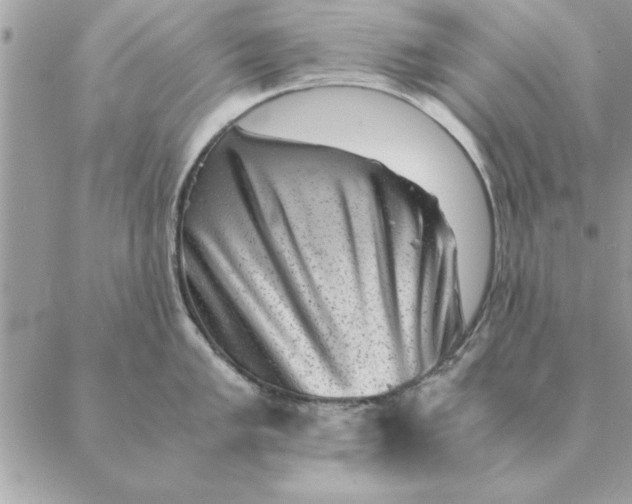 X0000088601005200706151757