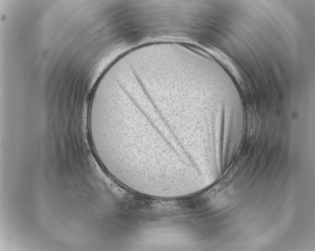 X0000088601006200706151757