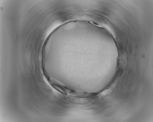 X0000088601007200706151756