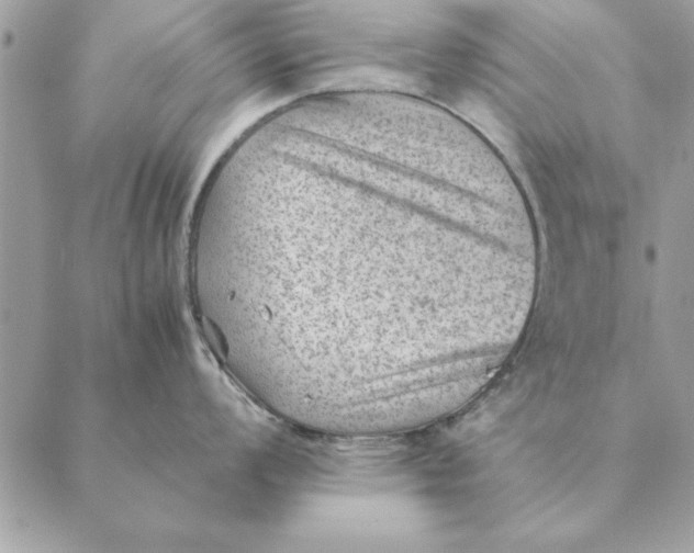 X0000088601008200706151756