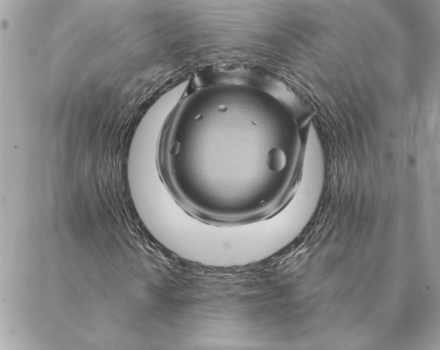 X0000088601010200706151756