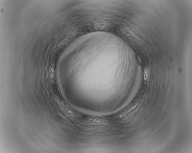 X0000088601011200706151756