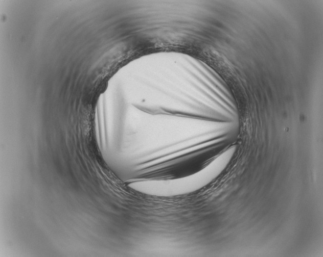 X0000088601012200706151756