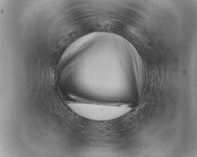 X0000088601013200706151756