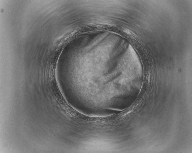 X0000088601014200706151756