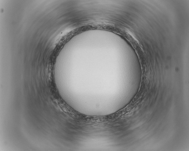 X0000088601016200706151756