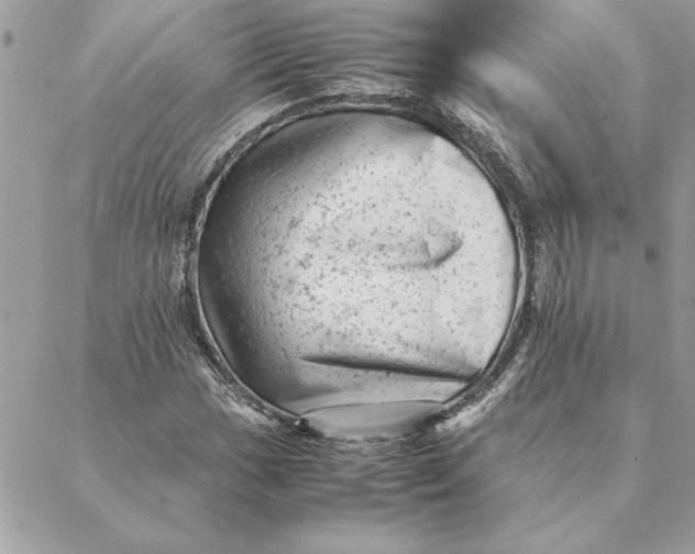 X0000088601017200706151756