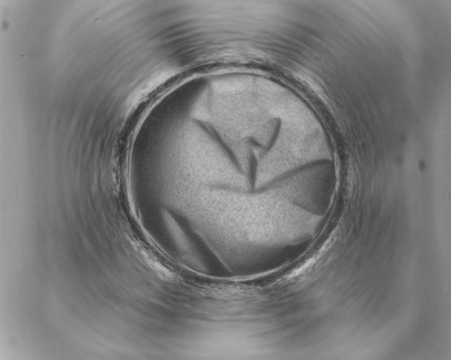 X0000088601018200706151756