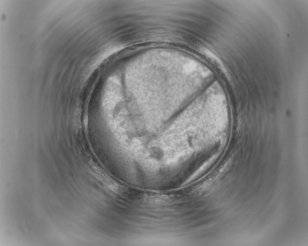 X0000088601019200706151756