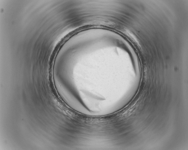 X0000088601020200706151756