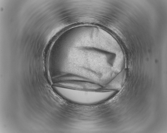 X0000088601022200706151756