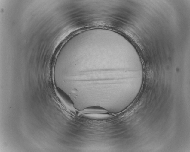 X0000088601023200706151756