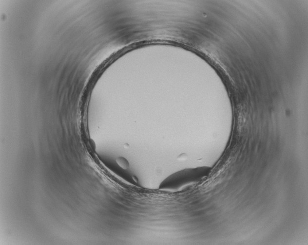 X0000088601024200706151756