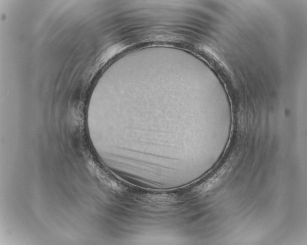 X0000088601025200706151756