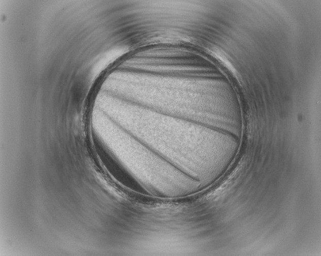 X0000088601026200706151756