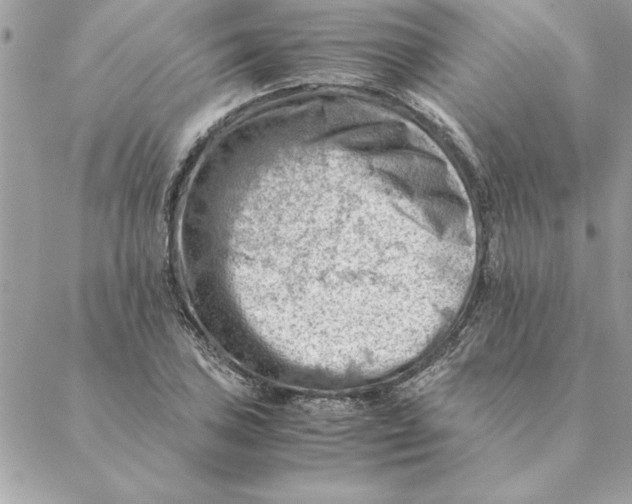 X0000088601027200706151756