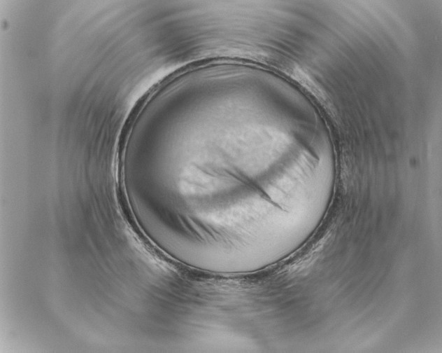 X0000088601028200706151756