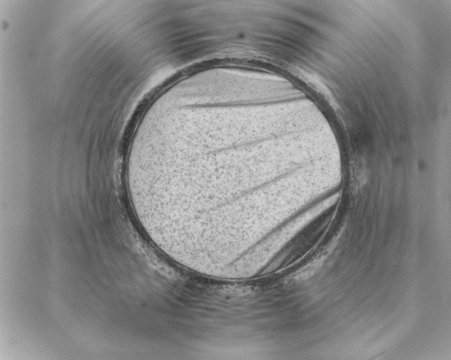 X0000088601029200706151756