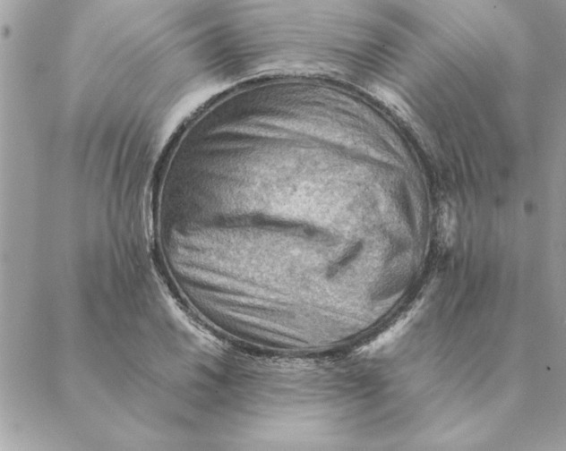 X0000088601030200706151756